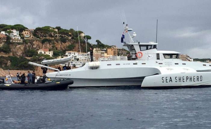 Neteja de xarxes abandonades a les roques