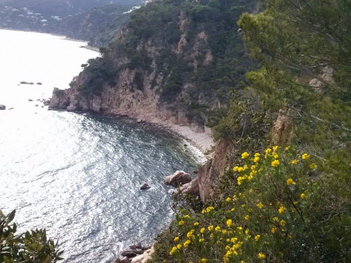 Sant Feliu vol activar les microreserves marines