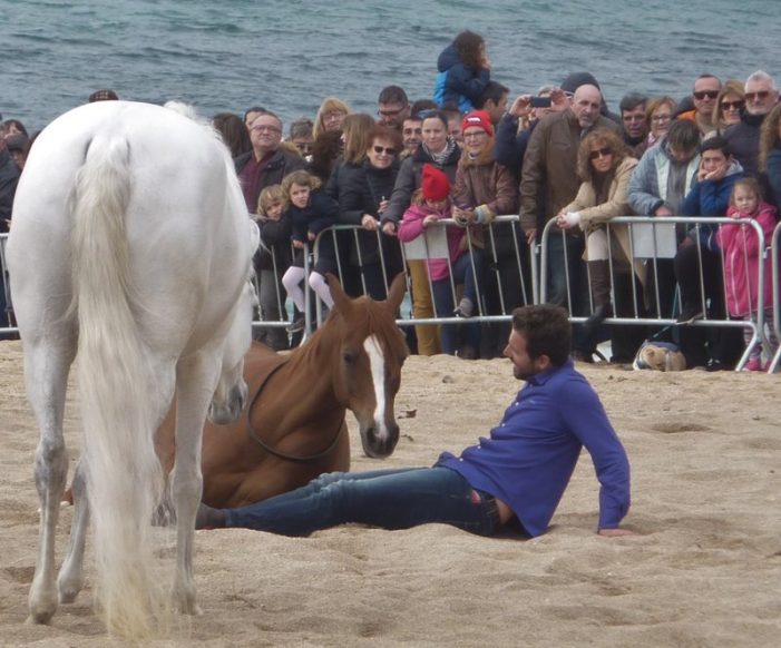 Galopant a la platja de Sant Feliu