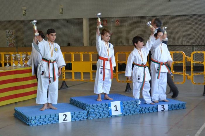 CAMPIONAT DE KARATE DE LA SEU D’URGELL.