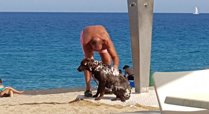 Incivisme a les dutxes de la platja gran de Platja d’Aro Incivisme a les dutxes de la platja gran de Platja d’Aro