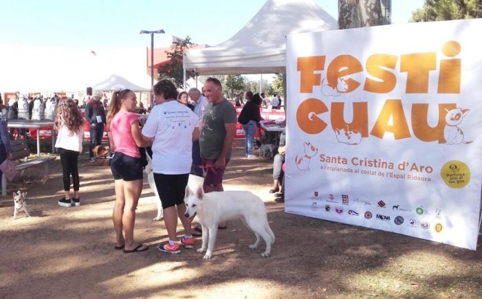 FestiGuau de Santa Cristina celebra diumenge 10 anys i recupera la desfilada d’adopcions