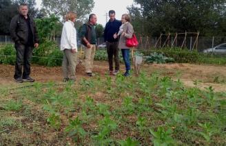 Santa Cristina Primers fruits als horts comuns Santa Cristina Primers fruits als horts comuns
