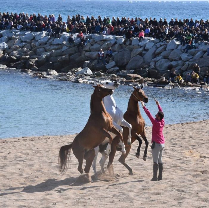 Milers de persones, a l’espectacle amb cavalls