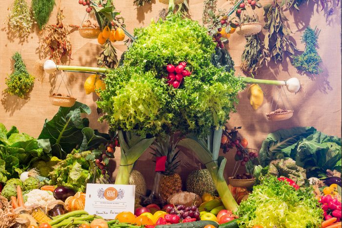 FESTA DE SANT ISIDRE A CASTELL D’ARO DEL 18 AL 20 DE MAIG AMB L’EXPOSICIÓ DEL 65è CONCURS DE FLORS, FRUITS DEL CAMP I PLANTES ORNAMENTALS