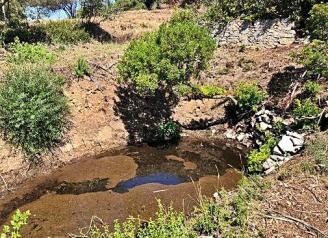 Platja d’Aro recupera la bassa temporal de Puig Pinell per preservar la fauna