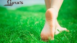 Sabeu de la importància del calçat per als nostres peus?