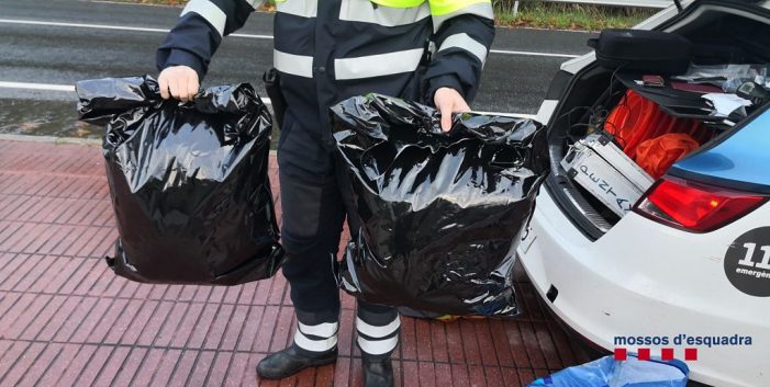 Els Mossos d’Esquadra persegueixen i detenen dos motoristes que portaven 4,7 quilograms de marihuana