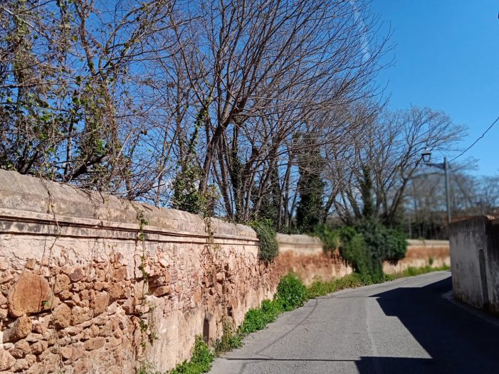 Poda d’arbres que ocupaven part de la calçada del carrer Mascanada