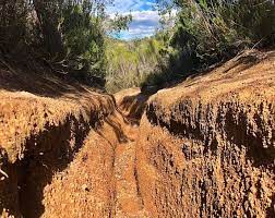 El microclima del Ridaura està en perill per la circulació il·legal de motos de cros