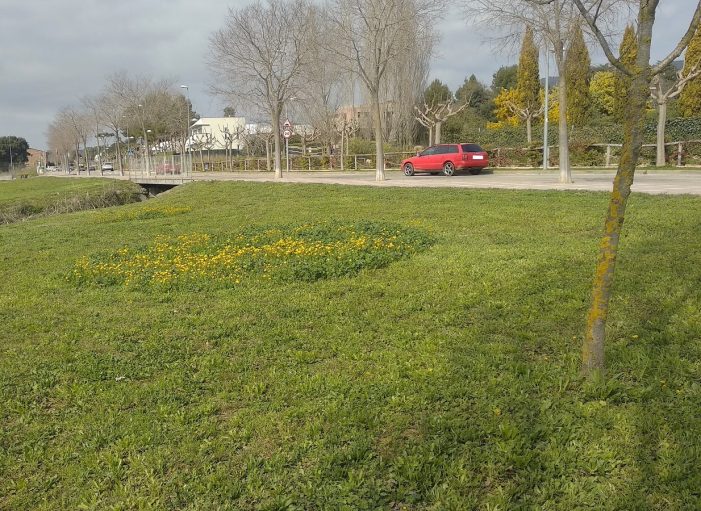 ASSAIG RODONES BIODIVERSES PER UN MEDI AMBIENT SA I EQUILIBRAT