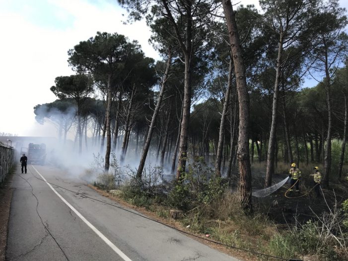 Cremen 1.000 metres quadrats de sotabosc a Platja d’Aro