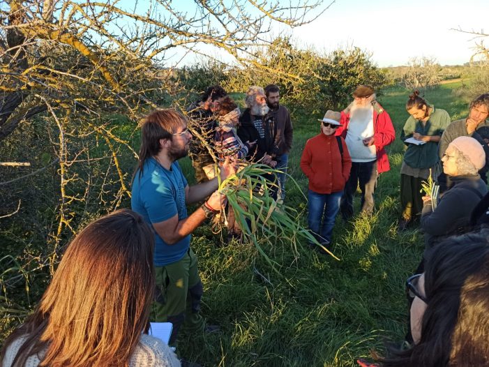 1a Jornada sobre plantes silvestres comestibles a Santa Cristina d’Aro